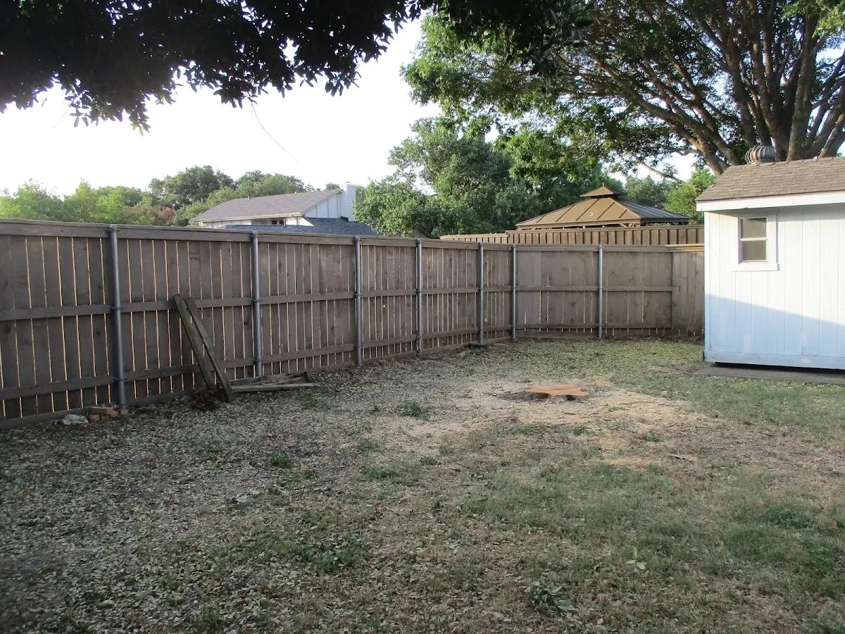 Cleared yard after professional tree removal in Gansevoort